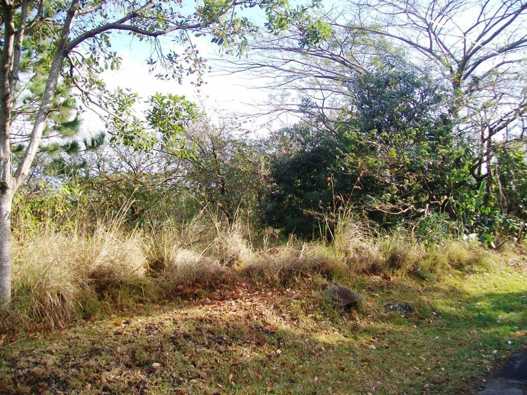 2107 m² Land available in Southbroom photo number 4