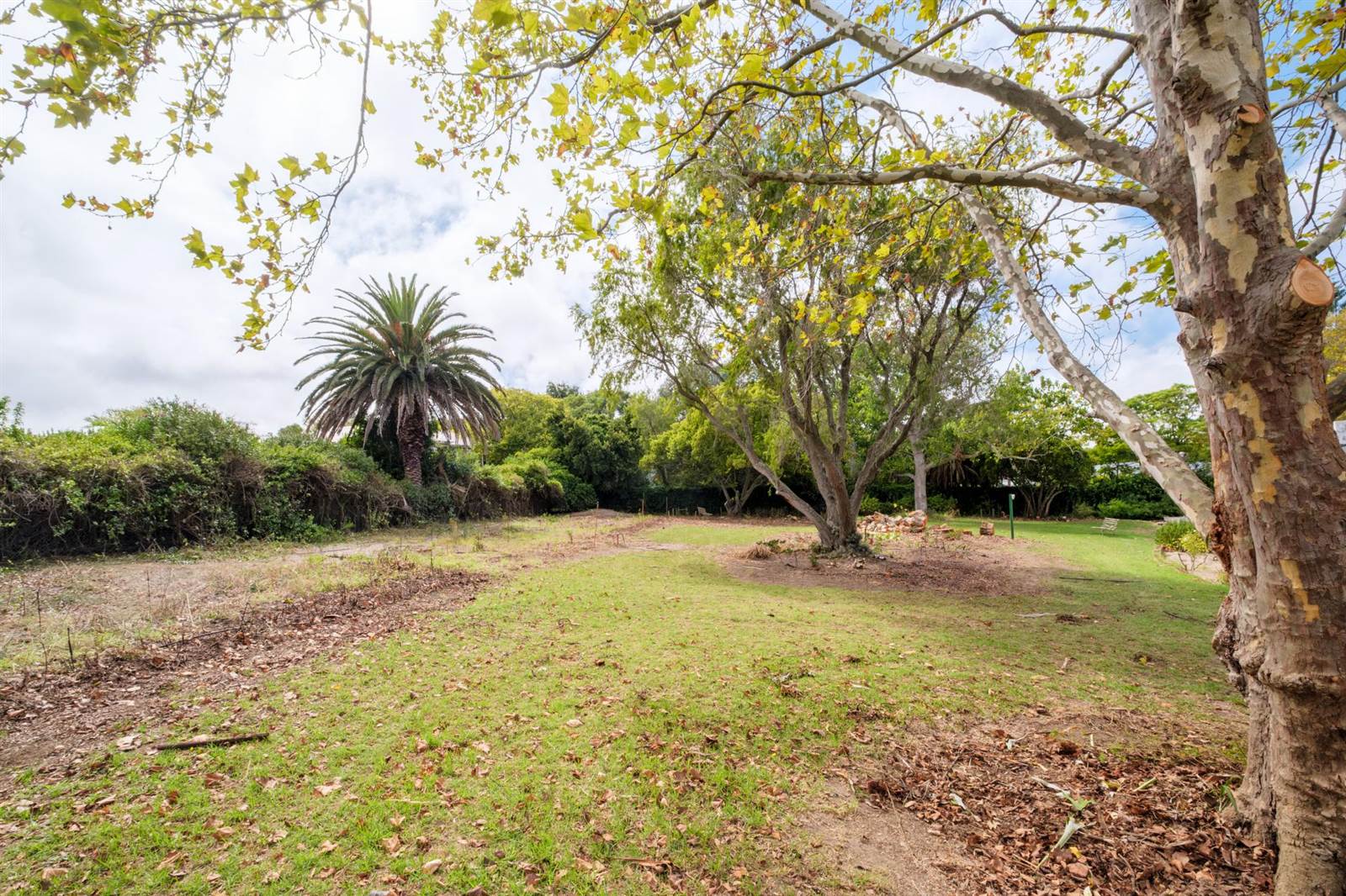 1910 m² Land available in Constantia photo number 13