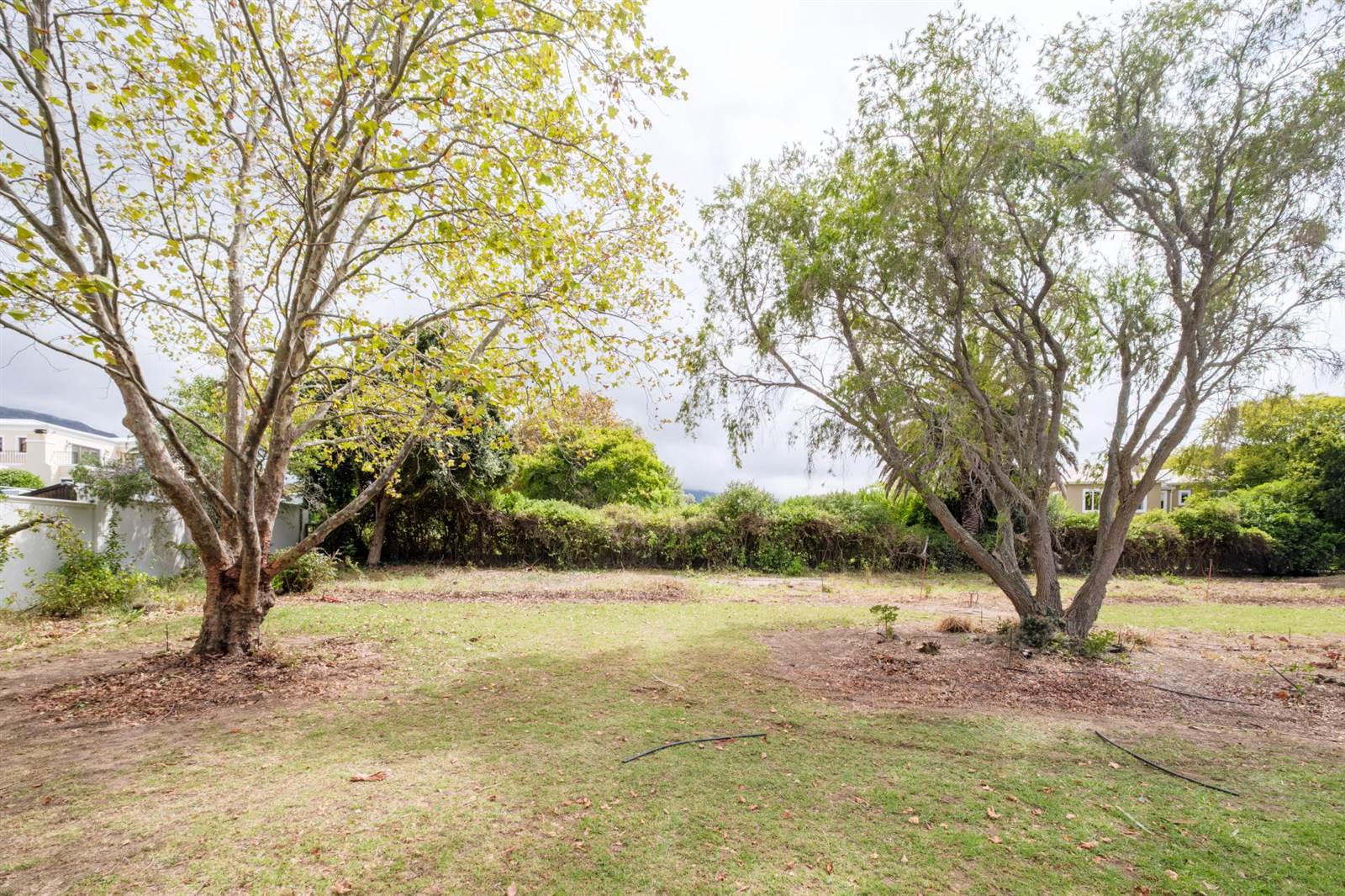 1910 m² Land available in Constantia photo number 17
