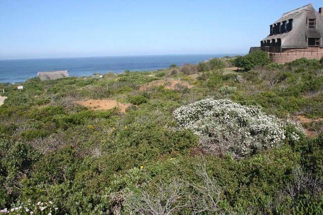 767 m² Land available in Stilbaai photo number 7
