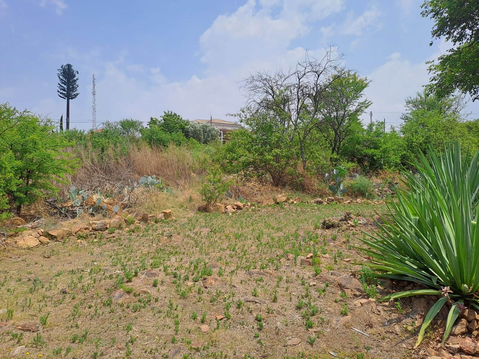 2497 m² Land available in Fochville photo number 8
