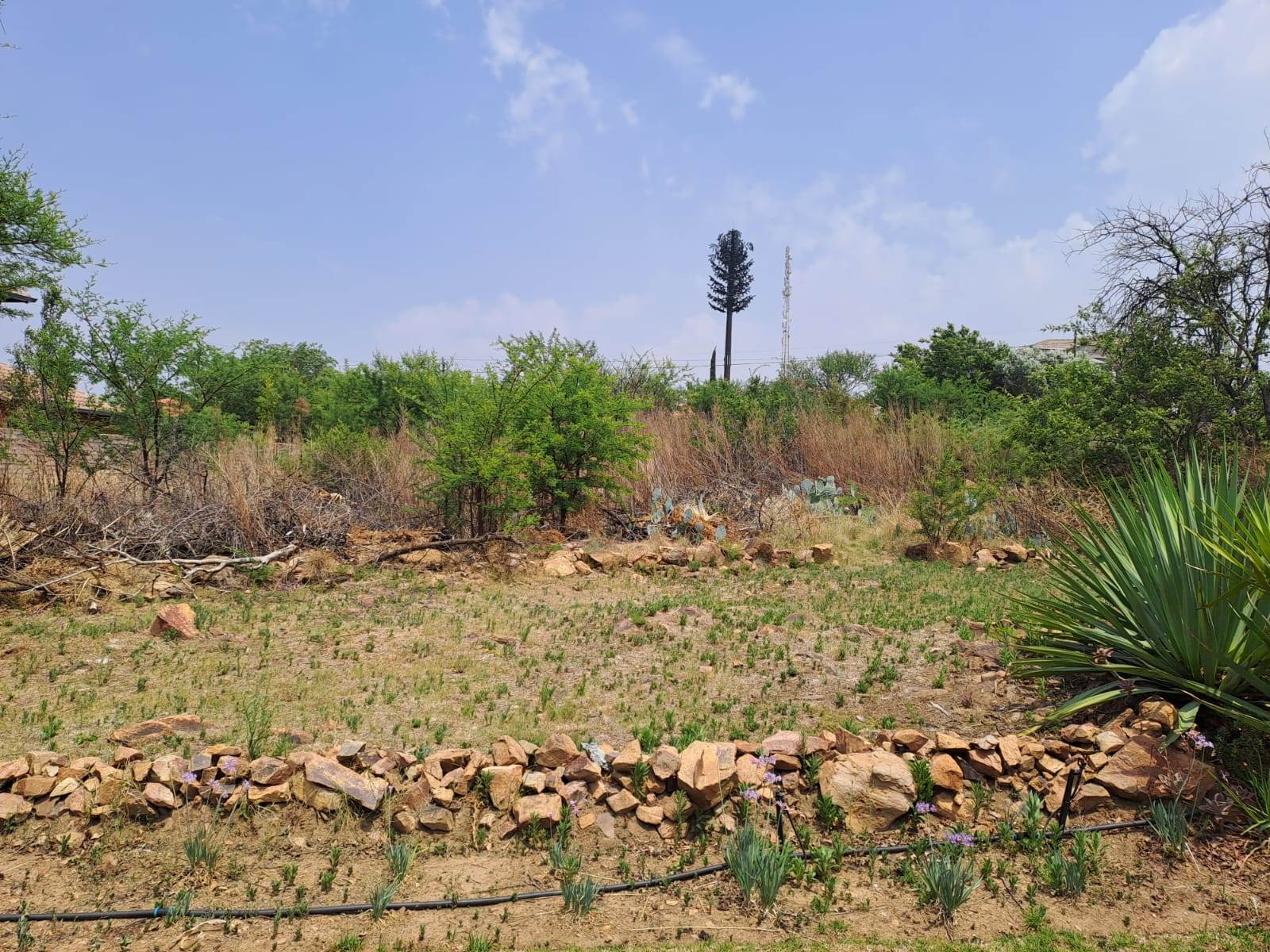 2497 m² Land available in Fochville photo number 6