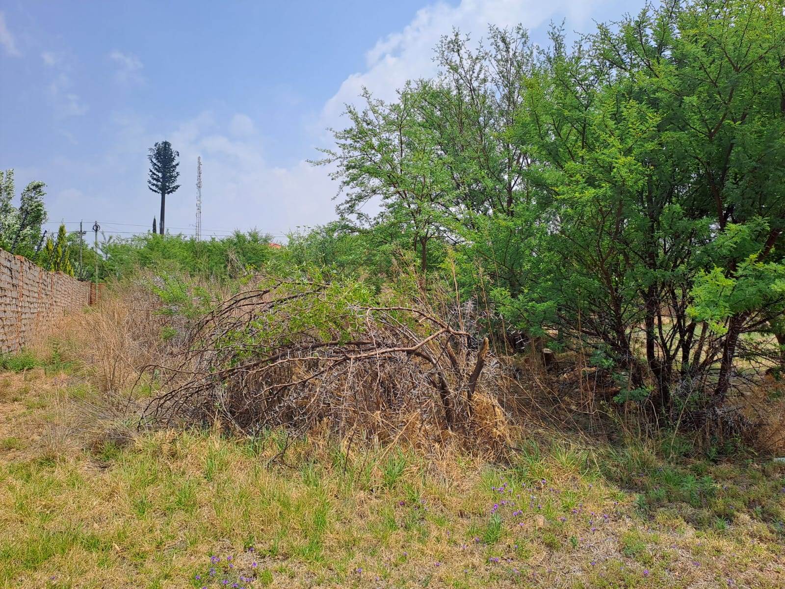 2497 m² Land available in Fochville photo number 5