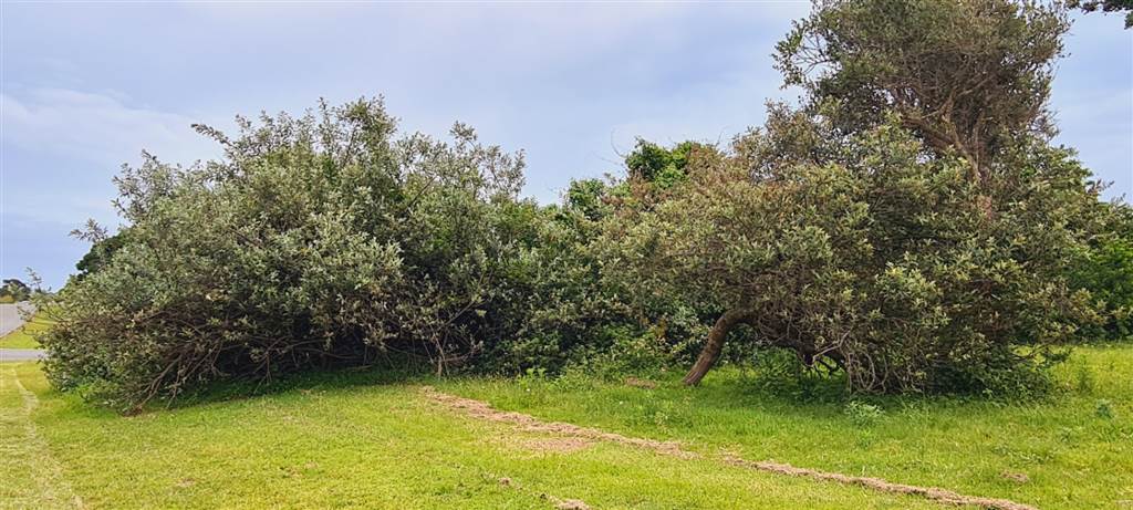 837 m² Land available in Cintsa photo number 9
