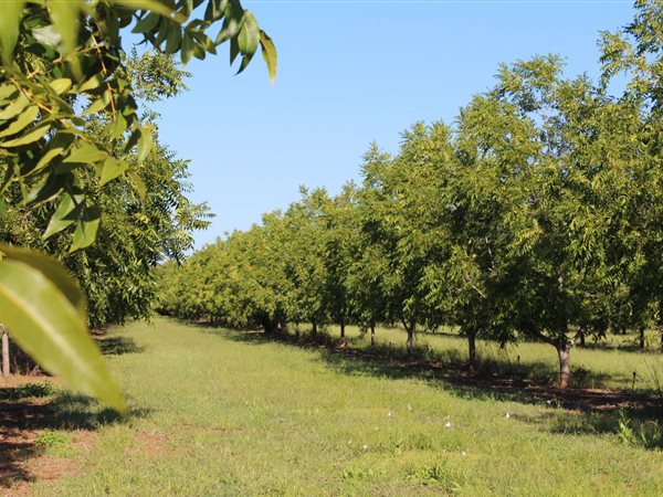 227 ha Farm 227 ha Farm