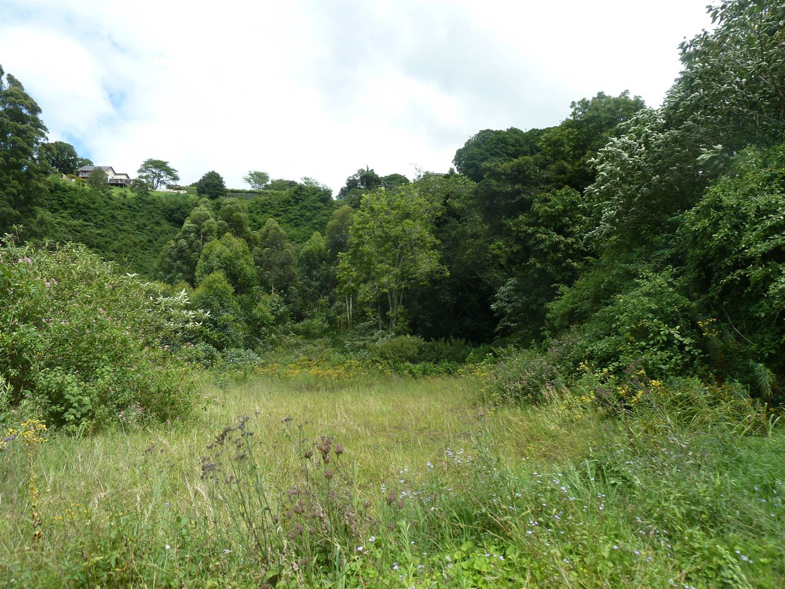 2.4 ha Land available in Assagay photo number 9