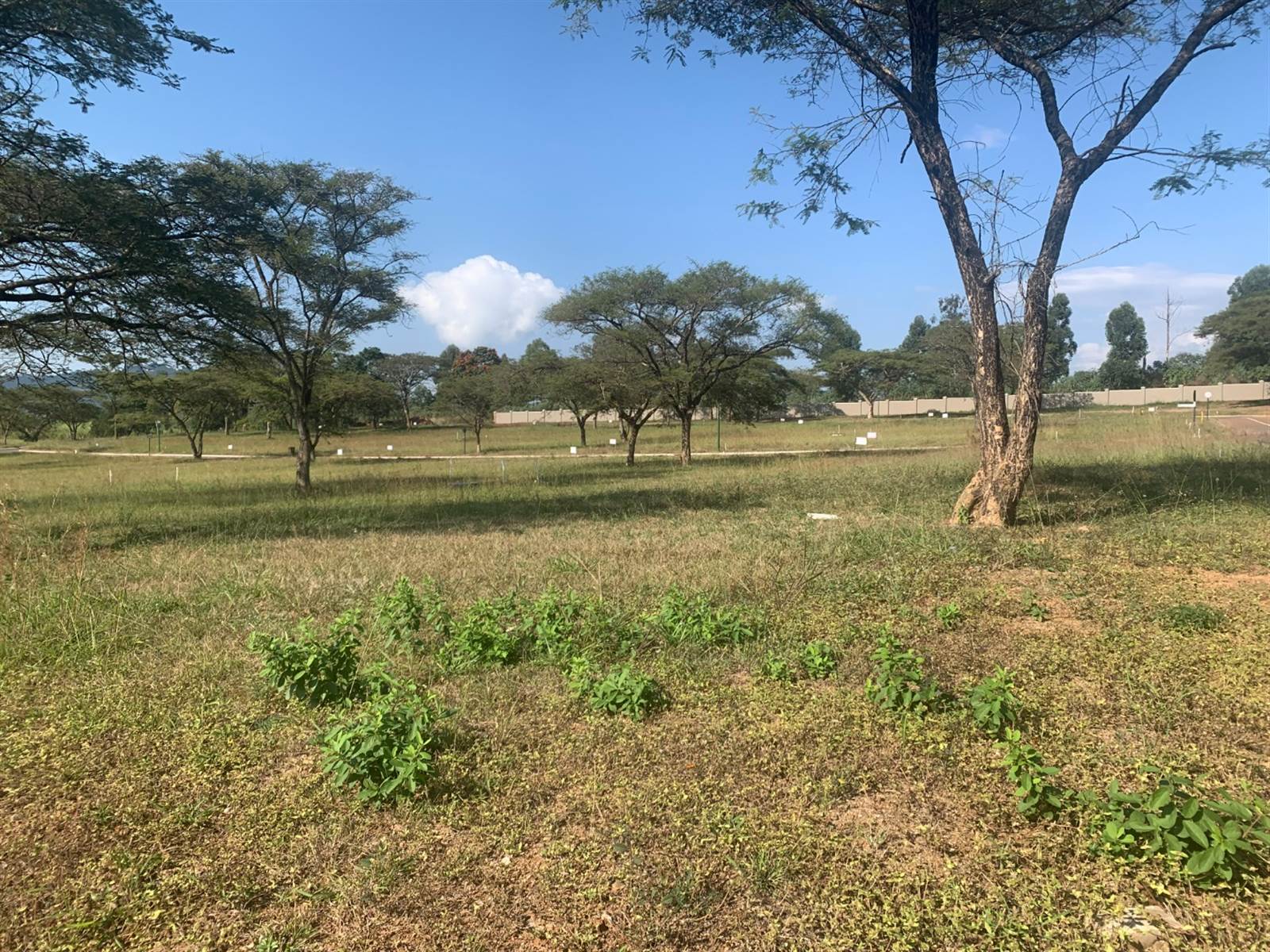 604 m² Land available in Tzaneen photo number 5