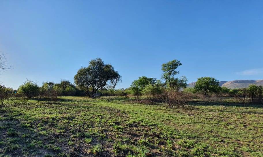 1200 m² Land available in Melodie photo number 6