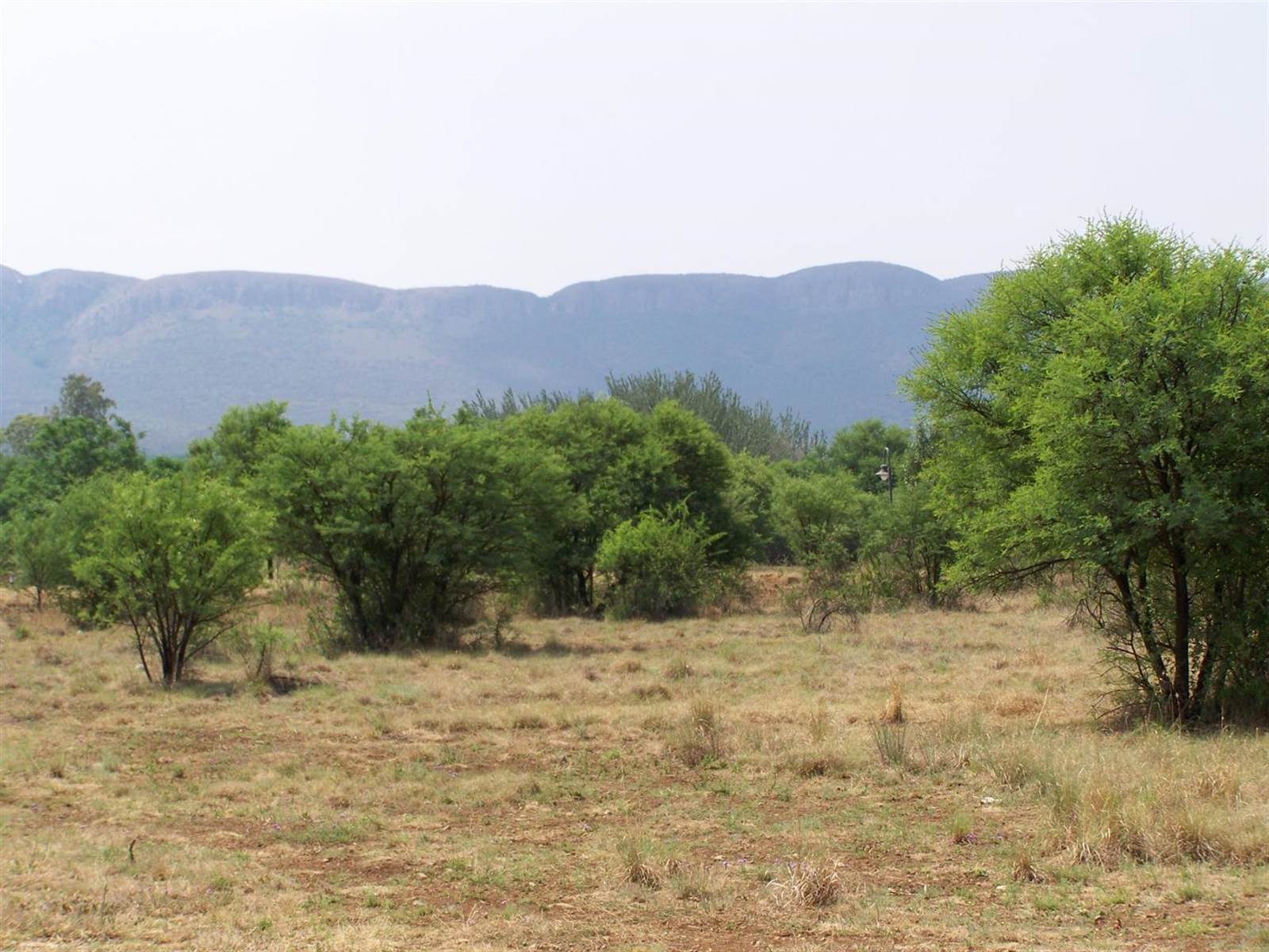 1200 m² Land available in Melodie photo number 7