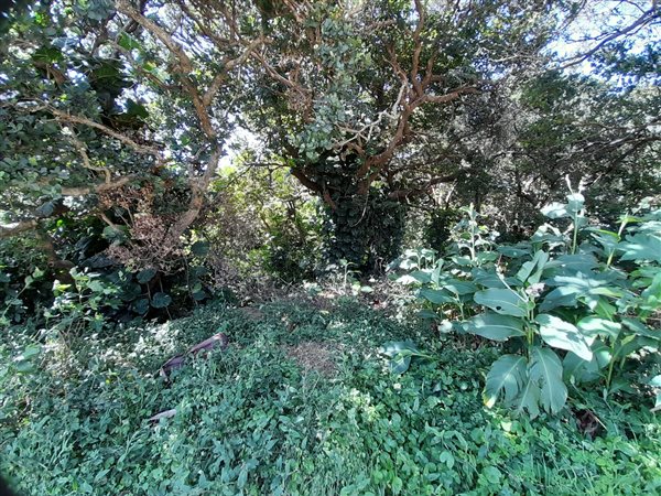 1 648 m² Land