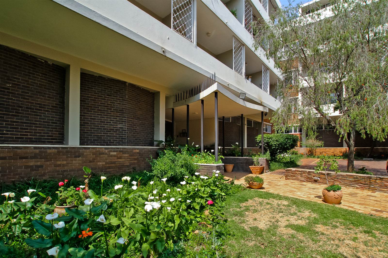 1 Bed Apartment in Illovo photo number 12