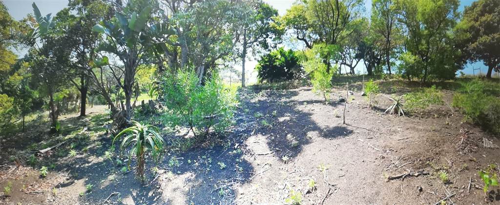 6944 m² Land available in Southbroom photo number 2