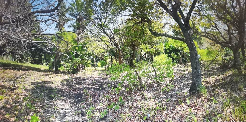 6944 m² Land available in Southbroom photo number 4