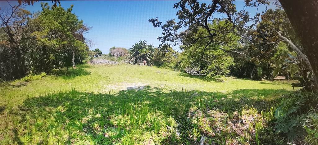 6944 m² Land available in Southbroom photo number 8