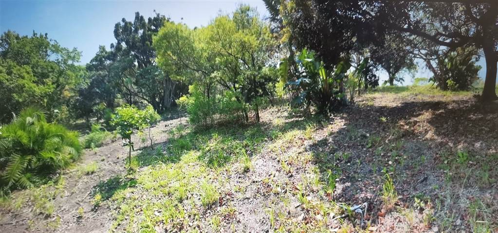 6944 m² Land available in Southbroom photo number 5
