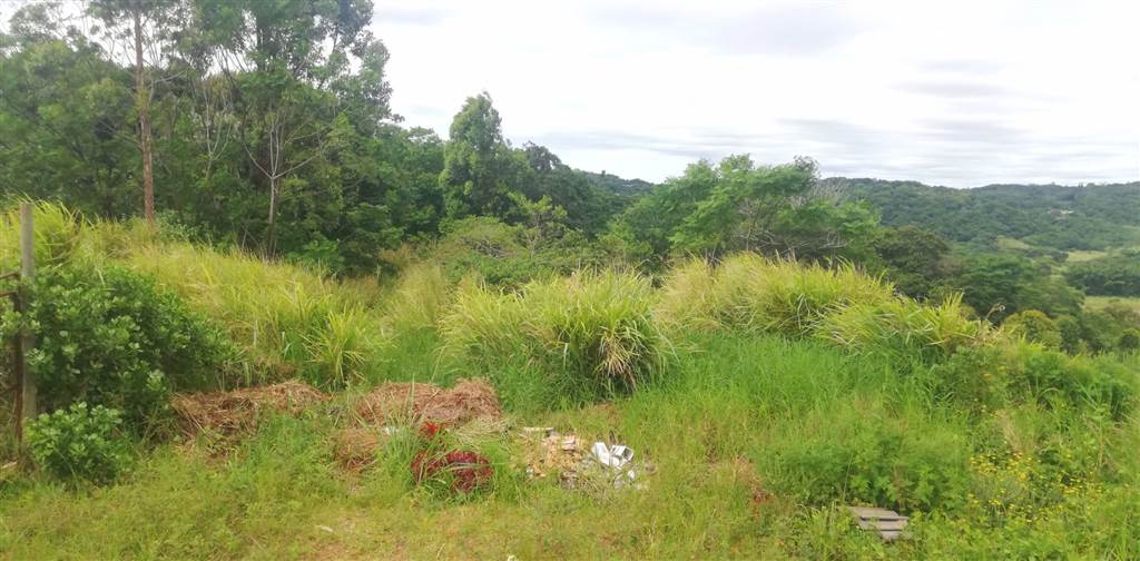 4.6 ha Land available in Sea Park photo number 19