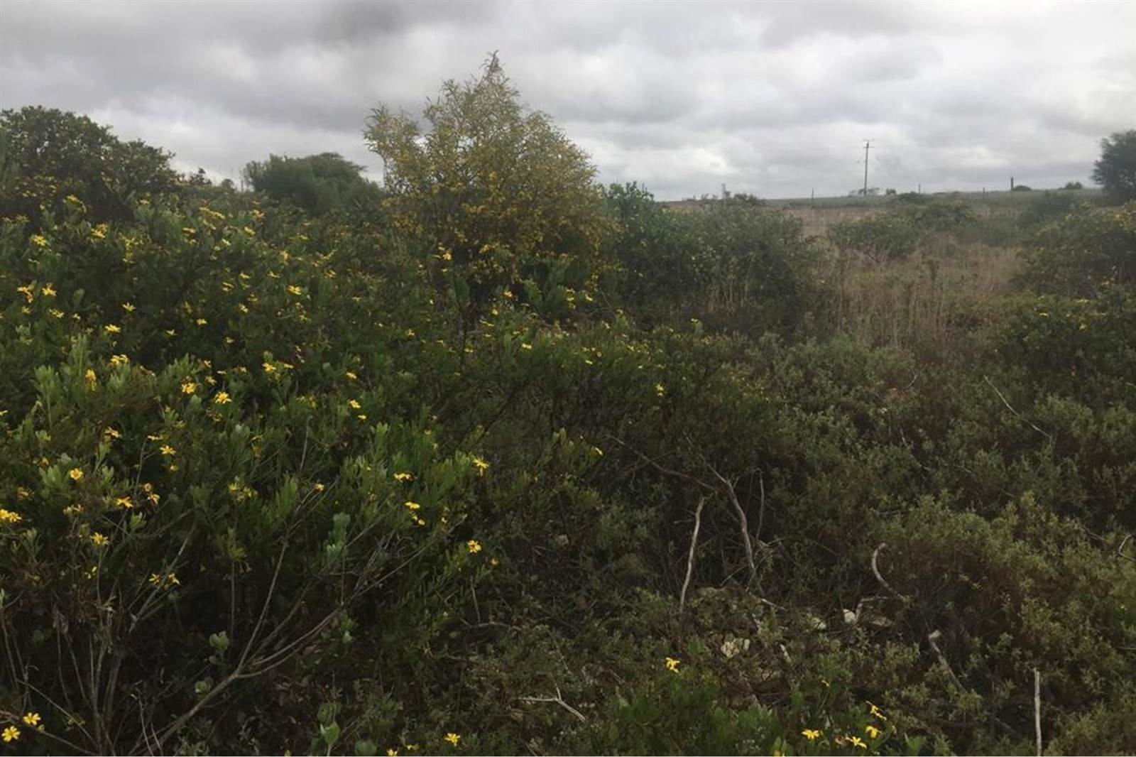 1350 m² Land available in Mossel Bay Central photo number 10