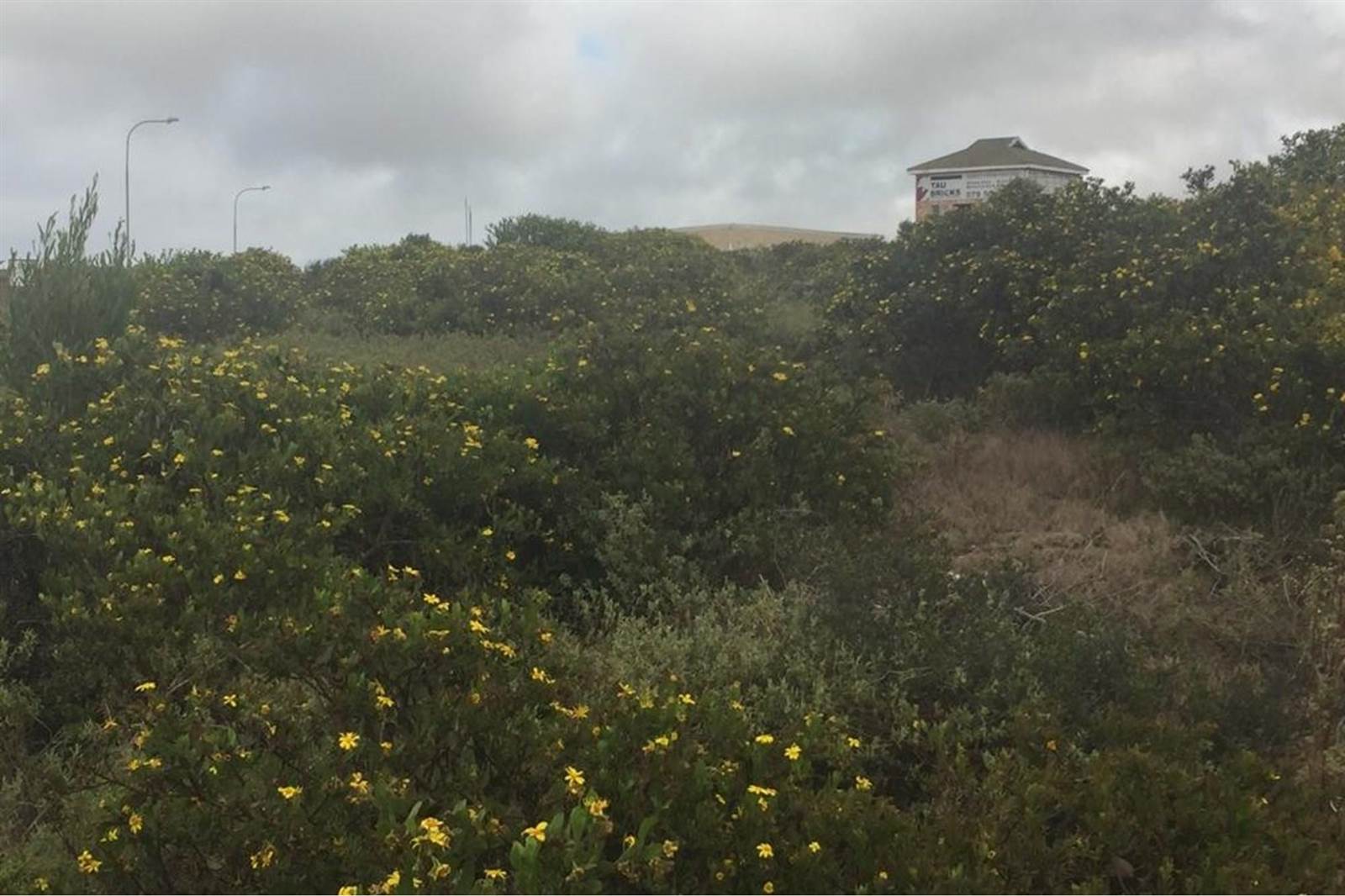 1350 m² Land available in Mossel Bay Central photo number 7