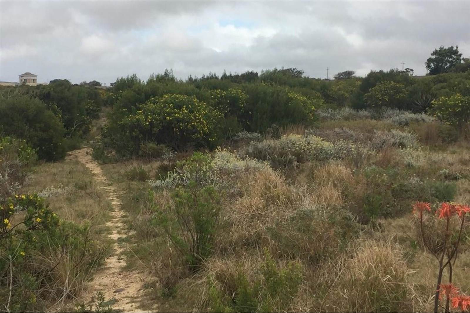 1350 m² Land available in Mossel Bay Central photo number 12