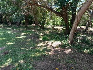 1168 m² Land available in Pennington