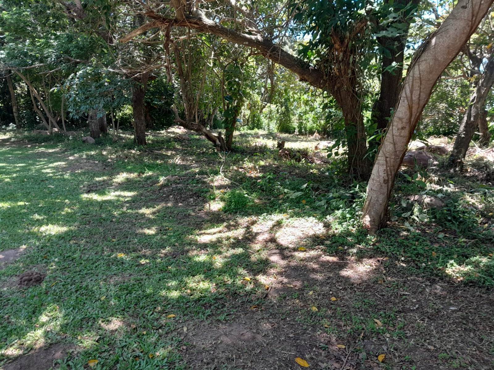 1168 m² Land available in Pennington photo number 1