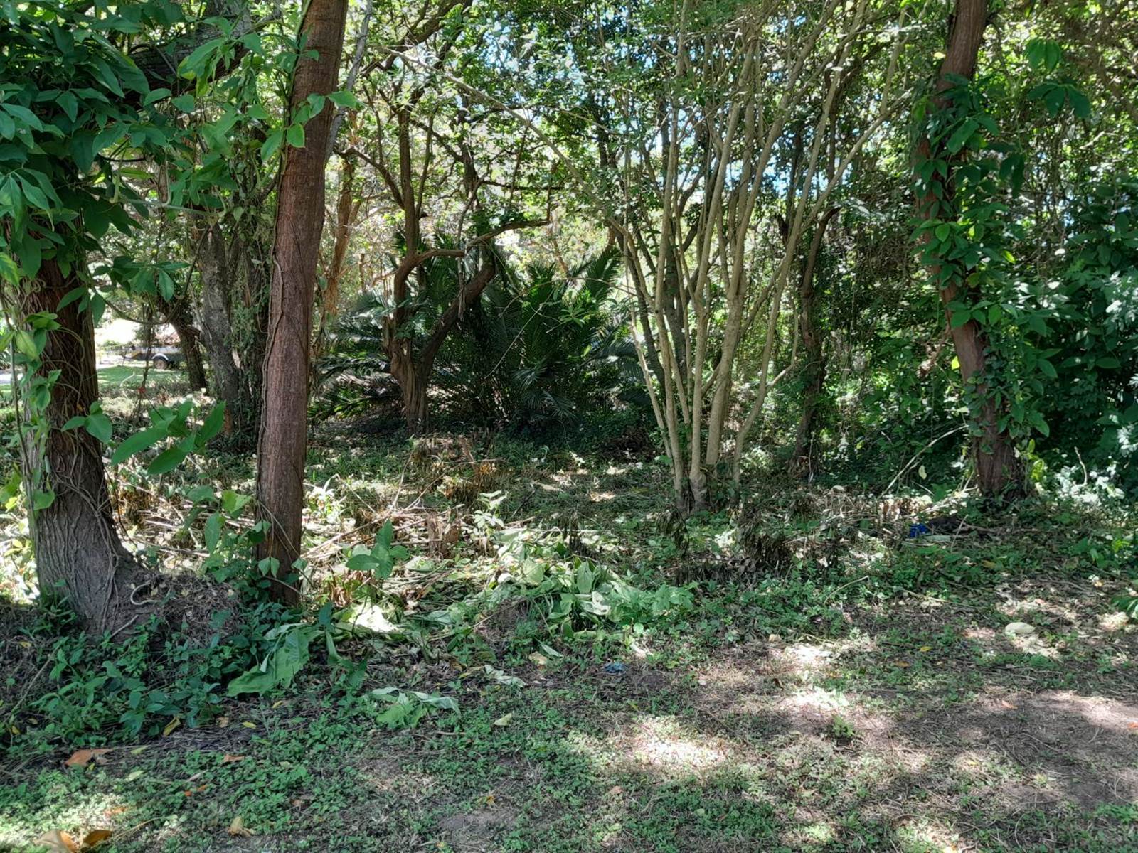 1168 m² Land available in Pennington photo number 7