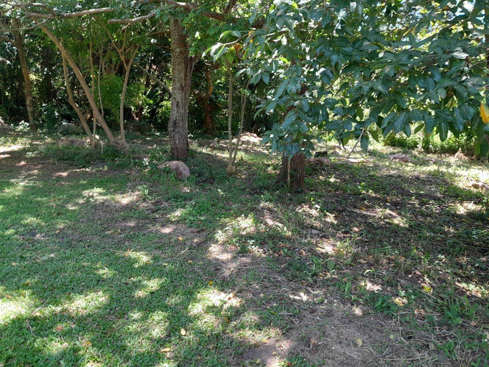 1168 m² Land available in Pennington photo number 5