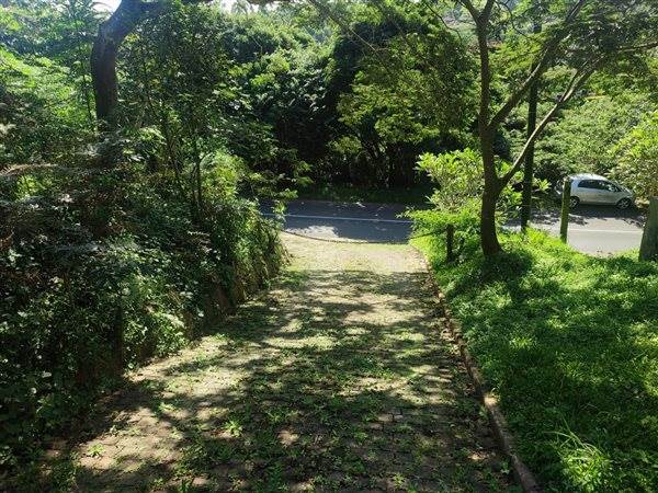 4694 m² Land available in Forest Hills photo number 21