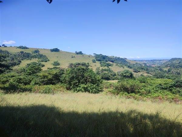 4694 m² Land available in Forest Hills photo number 17