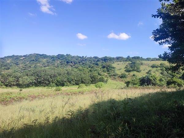 4694 m² Land available in Forest Hills photo number 18