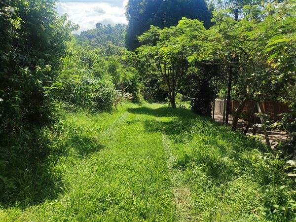 4694 m² Land available in Forest Hills photo number 20