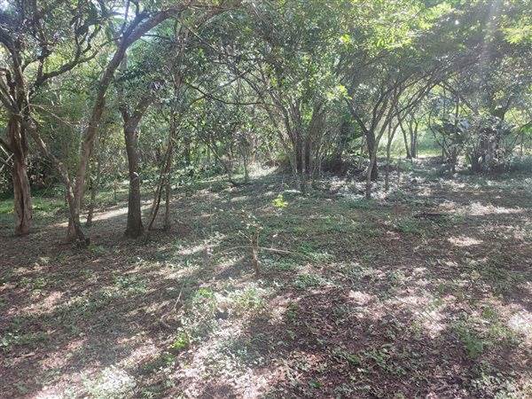 4694 m² Land available in Forest Hills photo number 15