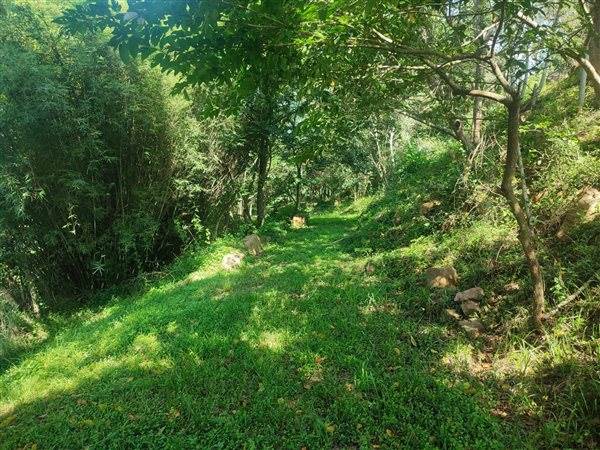 4694 m² Land available in Forest Hills photo number 12