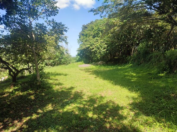 4694 m² Land available in Forest Hills