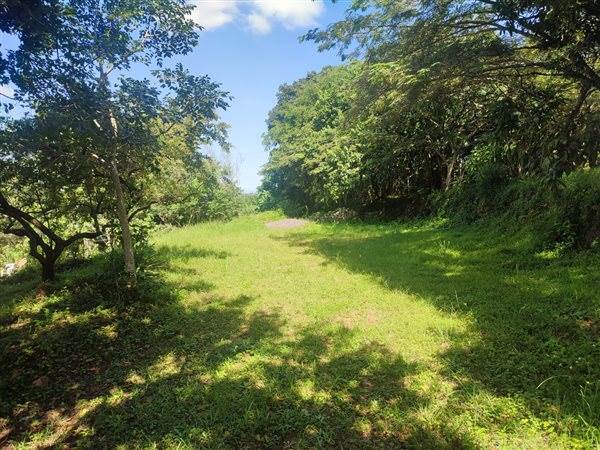 4694 m² Land available in Forest Hills photo number 1