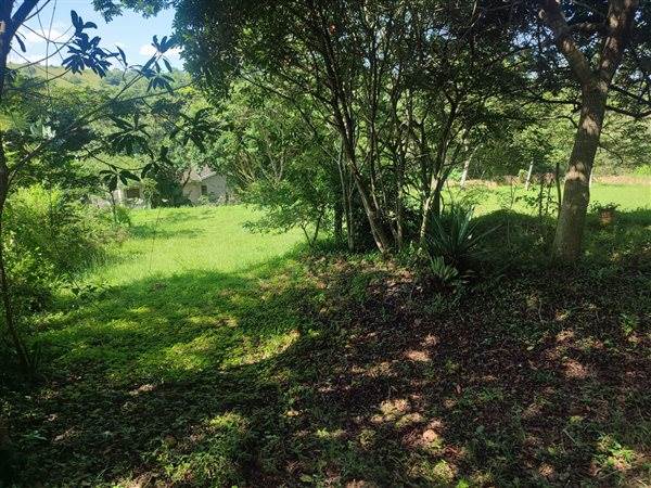 4694 m² Land available in Forest Hills photo number 5