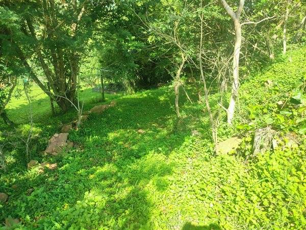 4694 m² Land available in Forest Hills photo number 11