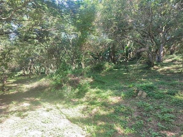 4694 m² Land available in Forest Hills photo number 13
