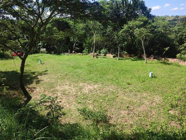 4694 m² Land available in Forest Hills photo number 3