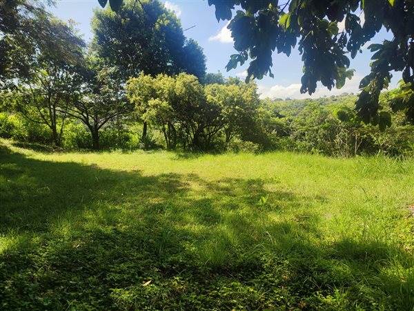 4694 m² Land available in Forest Hills photo number 2