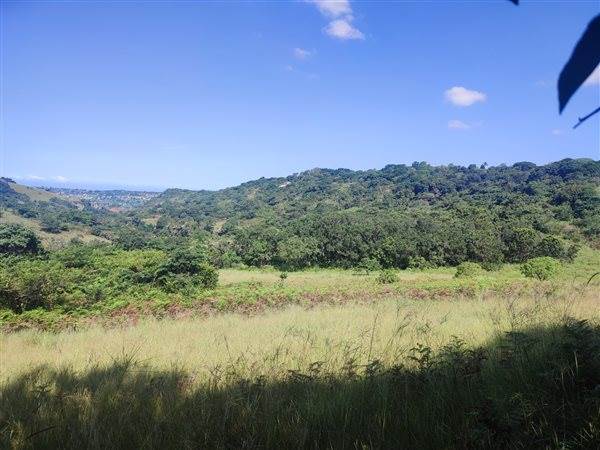 4694 m² Land available in Forest Hills photo number 16