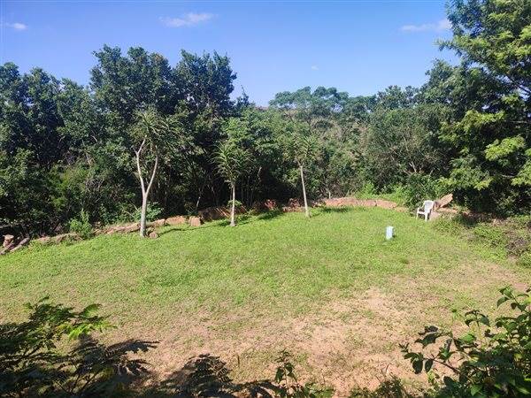 4694 m² Land available in Forest Hills photo number 4