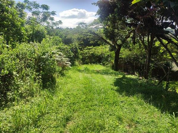 4694 m² Land available in Forest Hills photo number 19