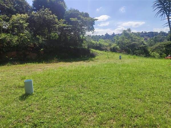 4694 m² Land available in Forest Hills photo number 7