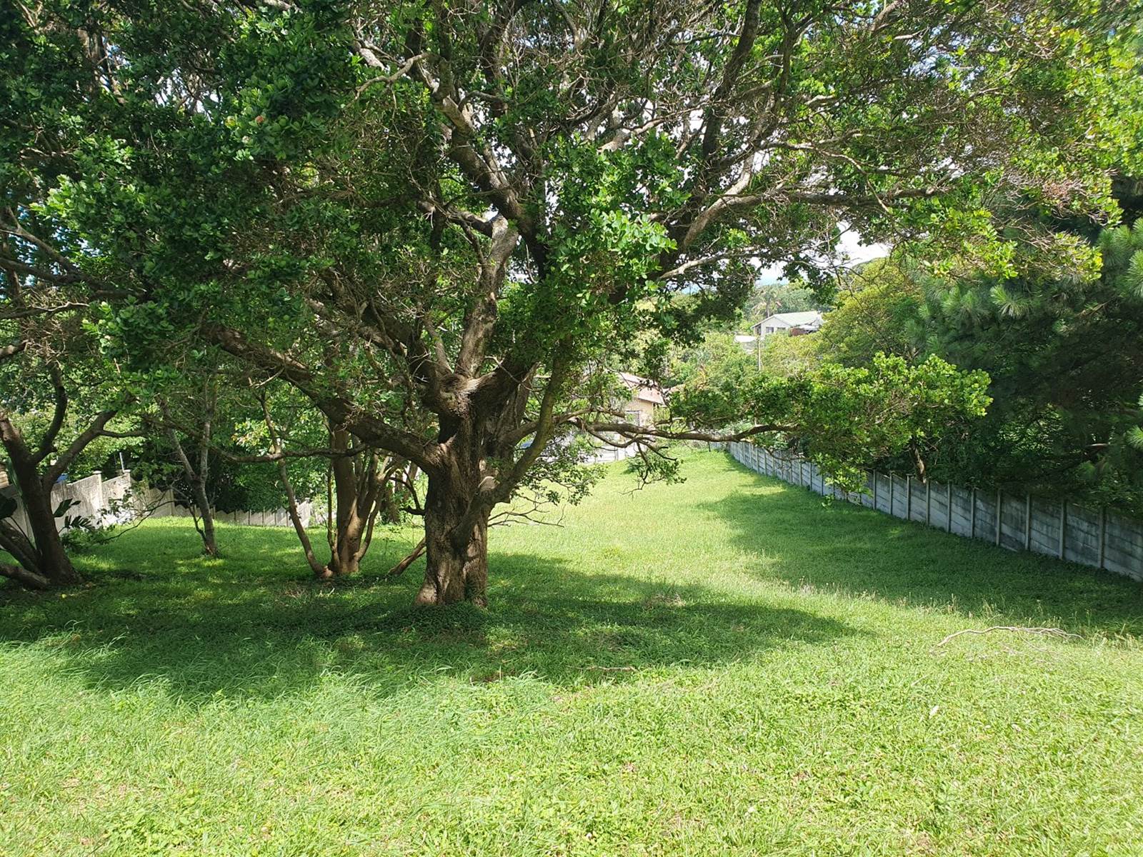 1969 m² Land available in Woodgrange photo number 6