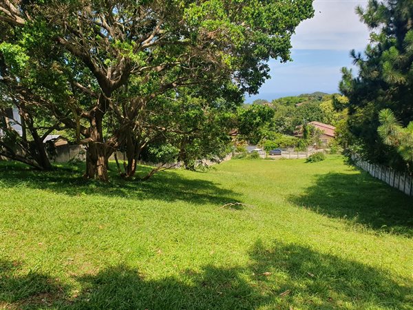 1969 m² Land available in Woodgrange