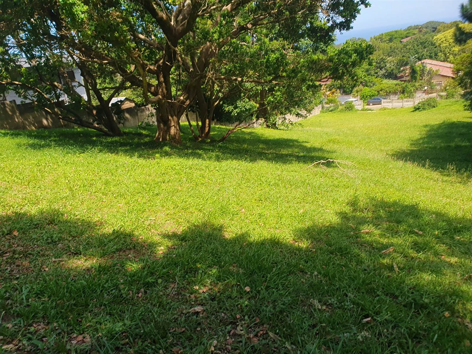1969 m² Land available in Woodgrange photo number 2