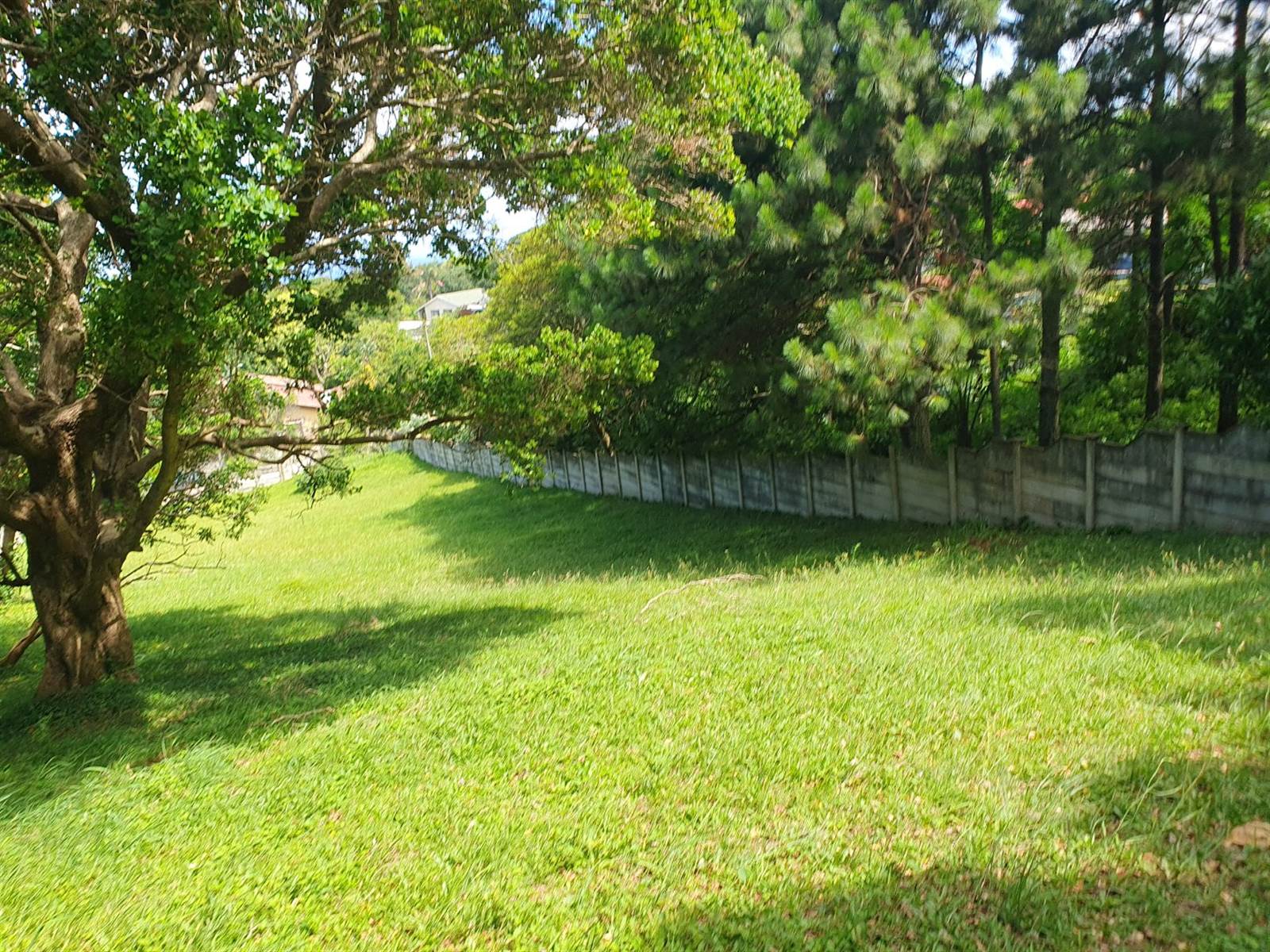 1969 m² Land available in Woodgrange photo number 7
