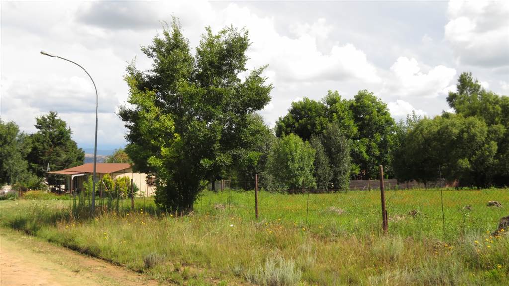 1338 m² Land available in Fouriesburg photo number 6