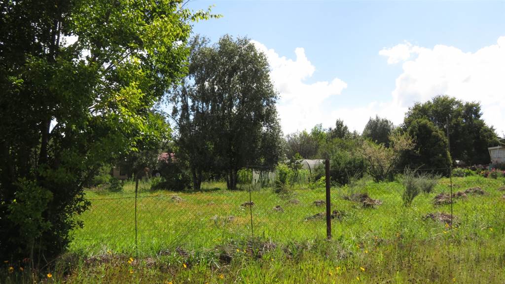 1338 m² Land available in Fouriesburg photo number 5